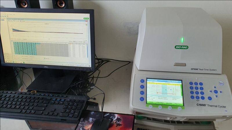 Máy Realtime-PCR CFX96 Dx (Singapor)